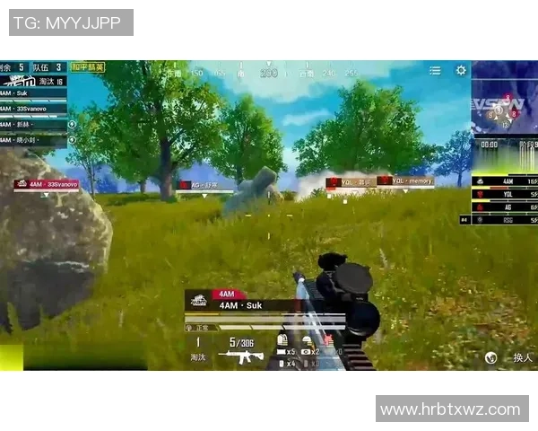 聚焦和平精英：RNG团队协作如何提升战斗力与胜率分析