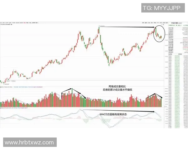 杭州足球队与重庆足球队赛后技术分析与战术复盘探讨