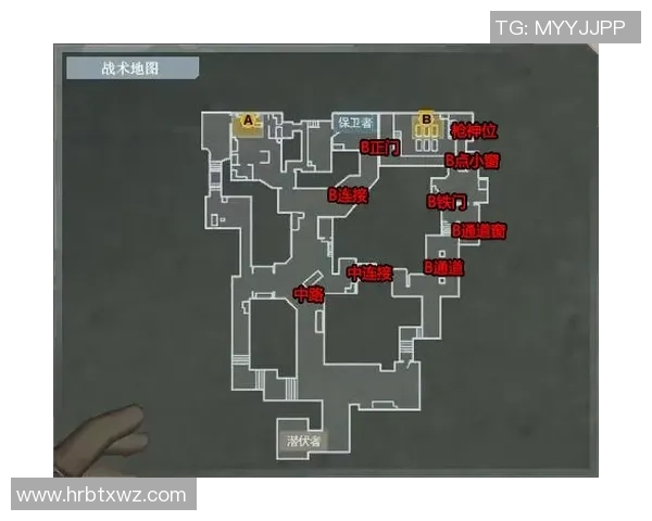 深入分析上海极限运动队的区域防守策略与战术执行效果