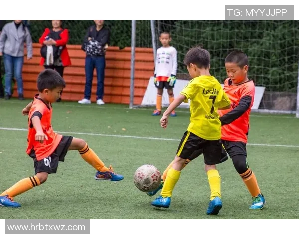 陈哥足球带你领略绿茵场上的激情与梦想，探索足球背后的故事与魅力