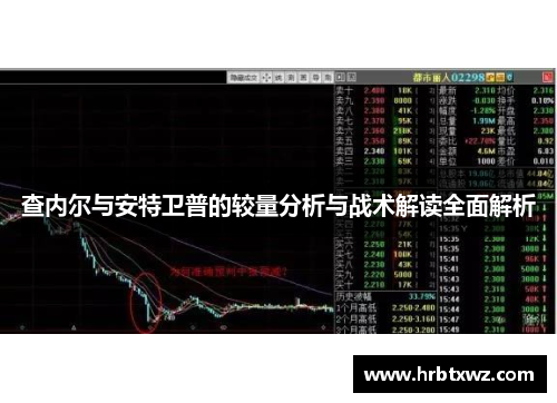 查内尔与安特卫普的较量分析与战术解读全面解析